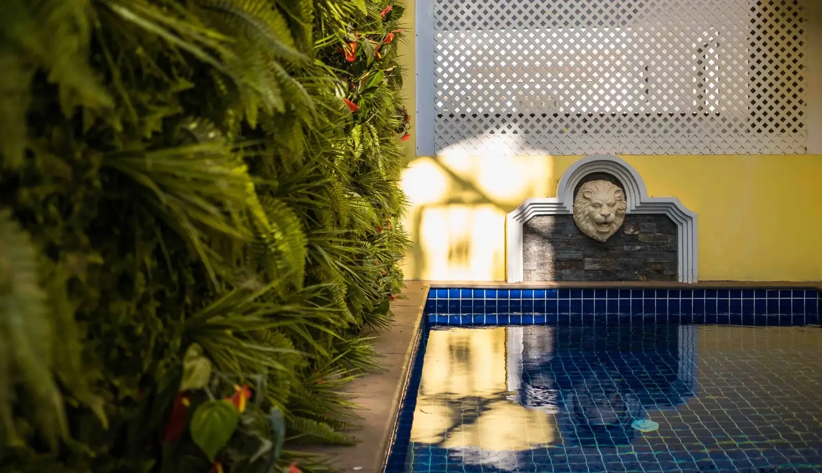 Why Choose Bennet and Bernard Luxury Real Estate in Goa